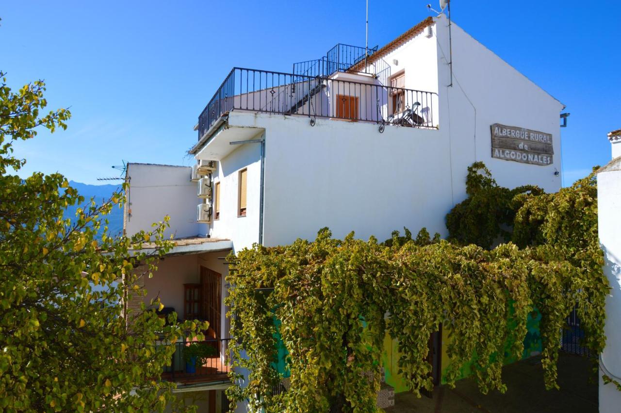 Ecoalbergue Rural De Algodonales Exterior photo